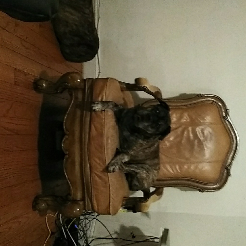 The antique chair not Logan, he stays. :^)